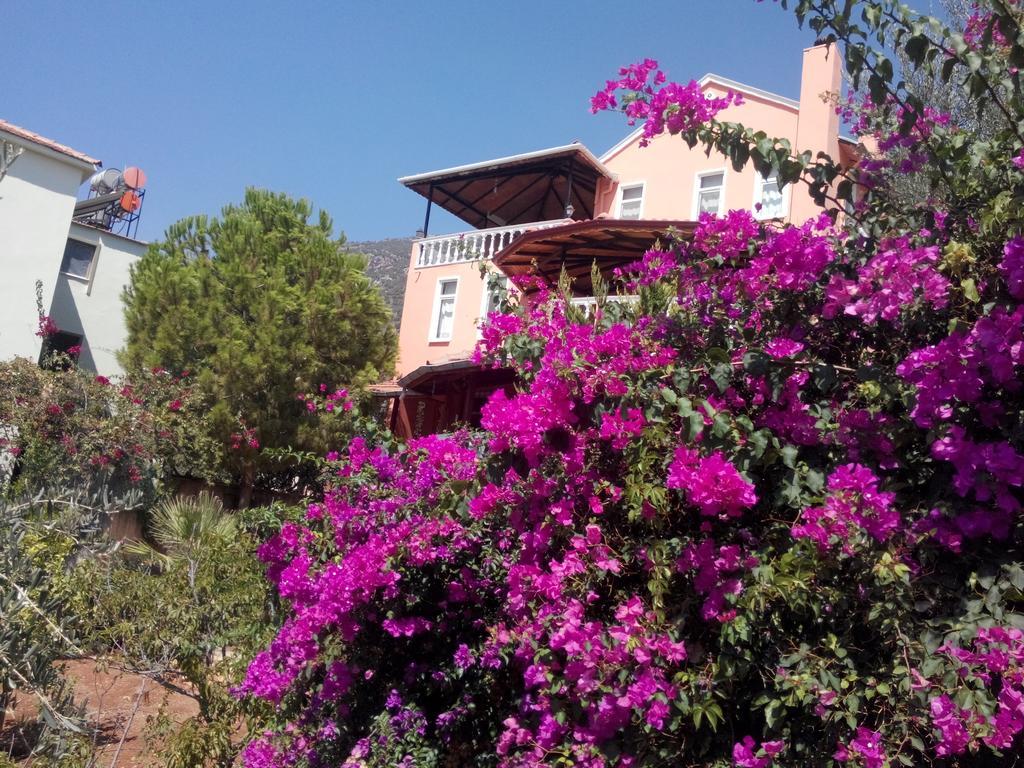 Villa Koknar Pension Kaş Szoba fotó