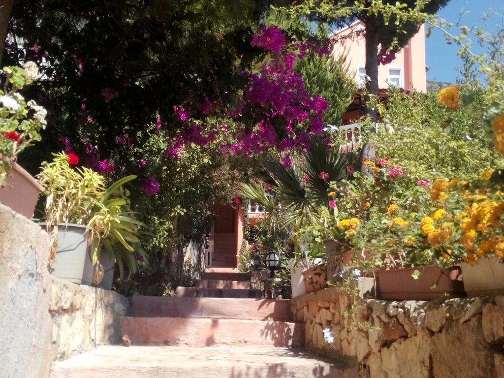 Villa Koknar Pension Kaş Szoba fotó